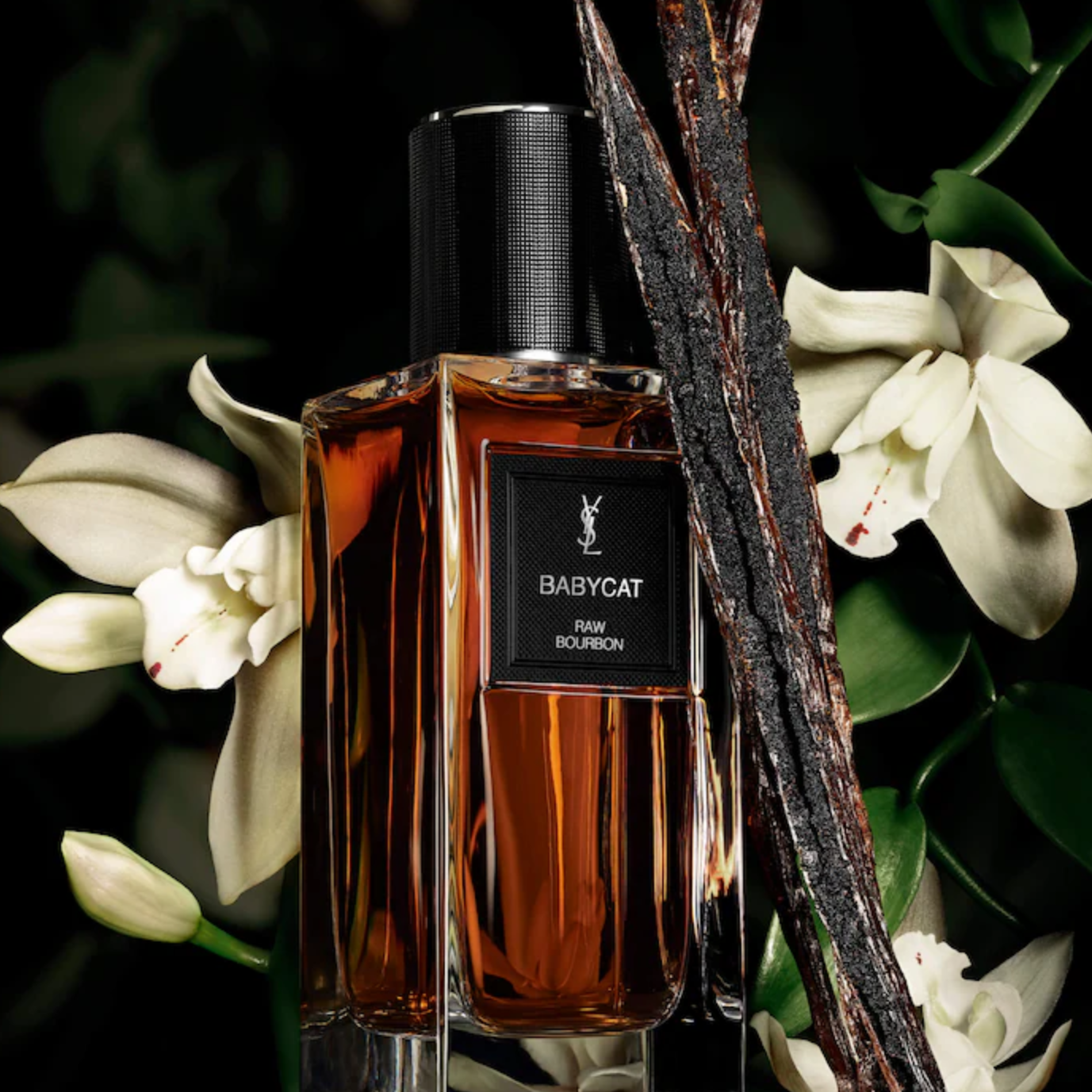 Sephora Fragrance Points Event 2026: Top 10 Luxury Scents for Valentine's Day 52992577 3408 46ca 855c 149930dcafa6 - Sephora Fragrance Points Event 2026: Top 10 Luxury Scents for Valentine's Day