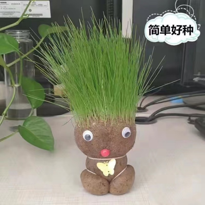 【JD旗舰店】 水木山泉   创意长草头娃娃 