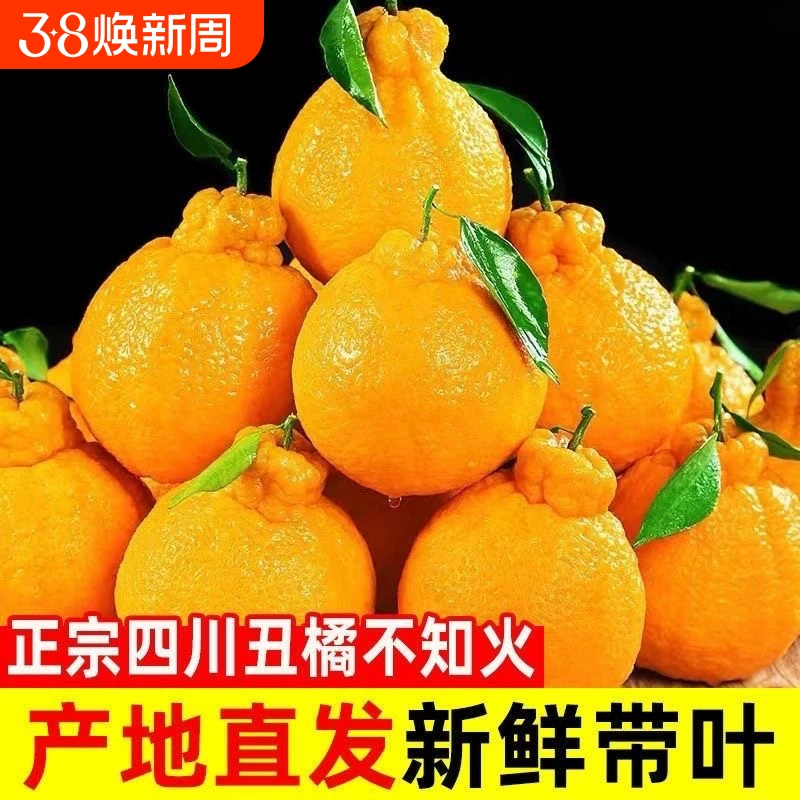 四川不知火丑橘4.5斤(75mm+)