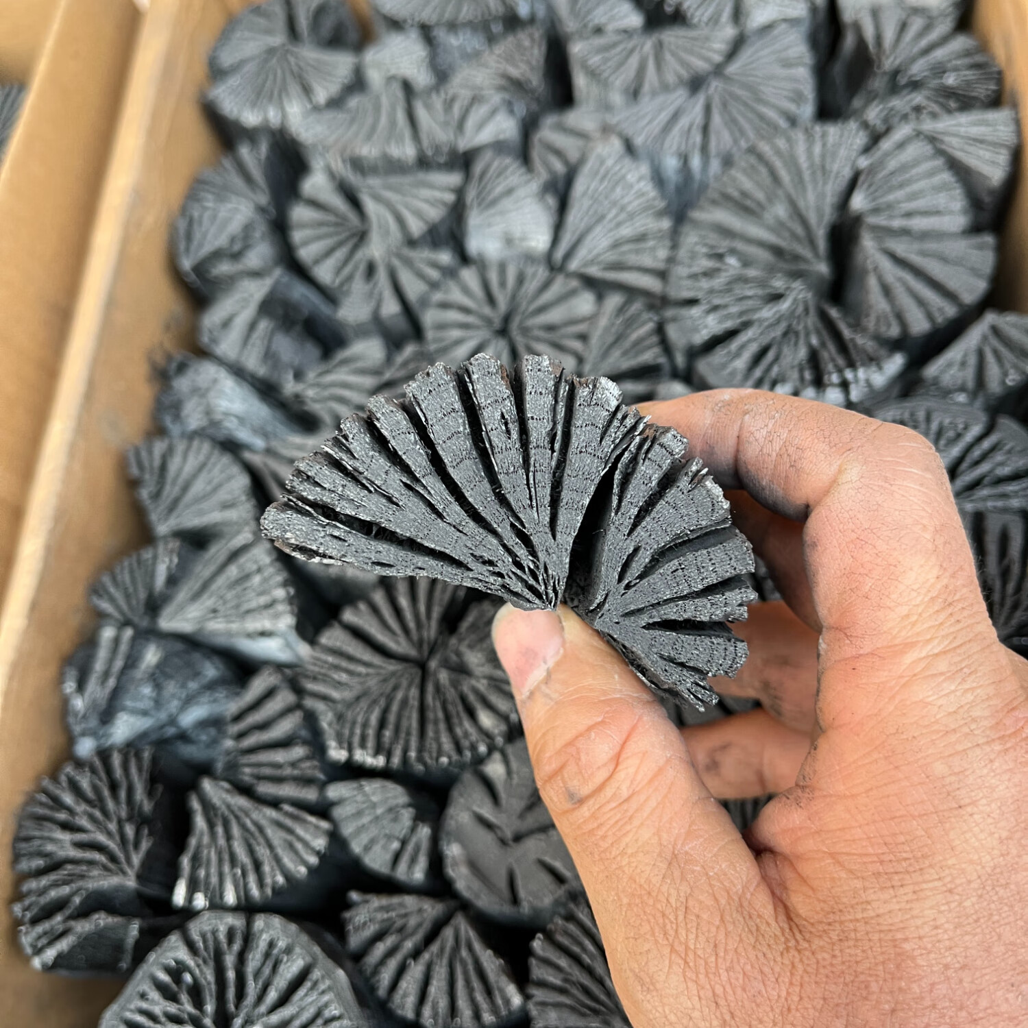 J东热销产品汇总02点档更新2026/02/11