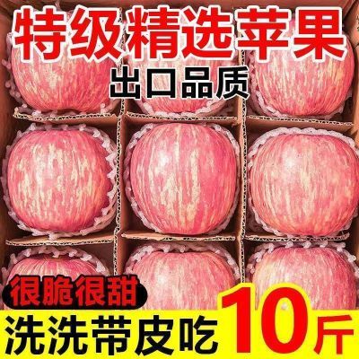 PDD热销产品汇总20点档更新2025/10/25