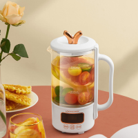 乐扣乐扣（LOCK&LOCK）养生壶 迷你小煮茶器 电炖杯