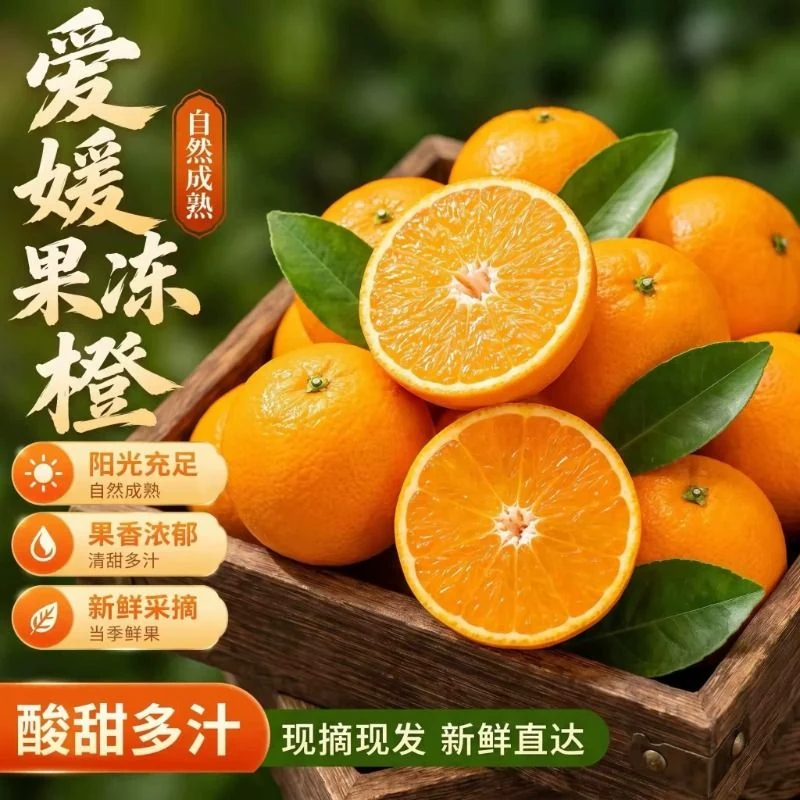 四川爱媛38号果冻橙【5斤彩箱】