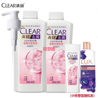 64.9元包邮！清扬 樱花露香型去屑洗发水500g*2瓶+100g*2瓶套装