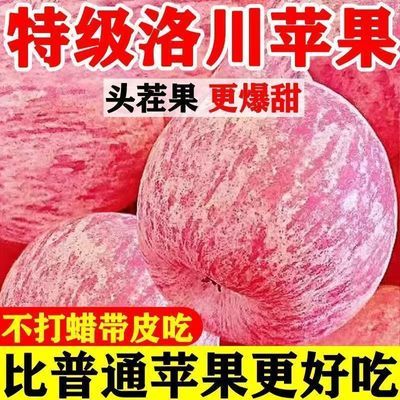 PDD热销产品汇总08点档更新2026/07/24