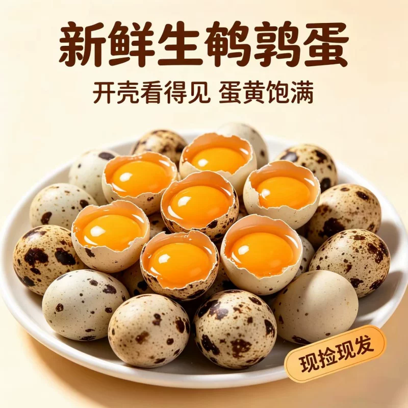 农家鹌鹑蛋50枚
