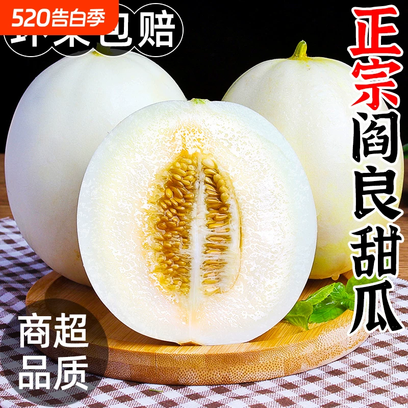下拉13.8！陕西阎良甜瓜4.5-5斤