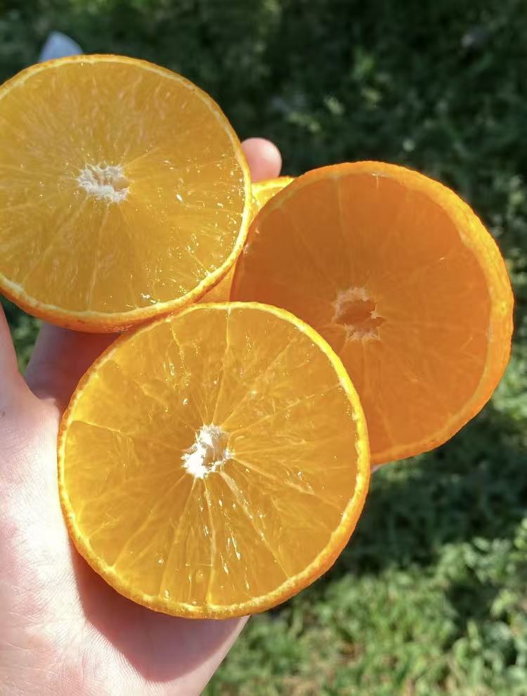 0_4