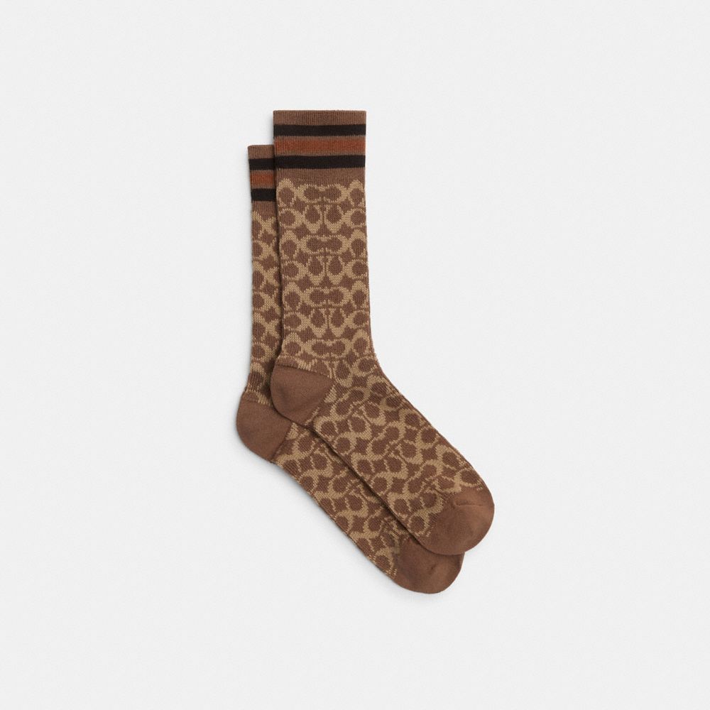 coach signature calf socks CBO15-TN2