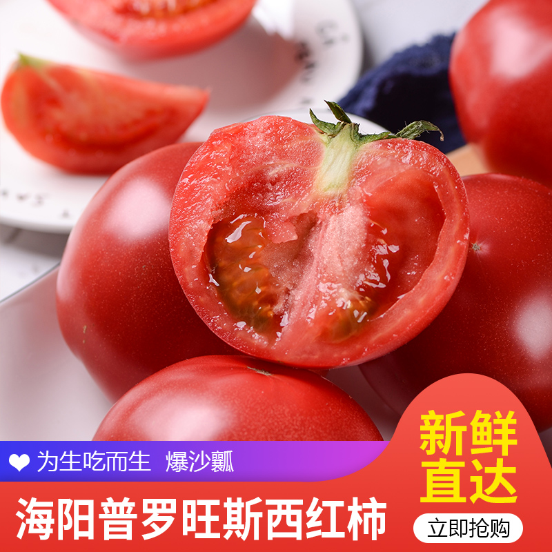 【JD旗舰店】古寨山 山东海阳普罗旺斯西红柿 4.5斤