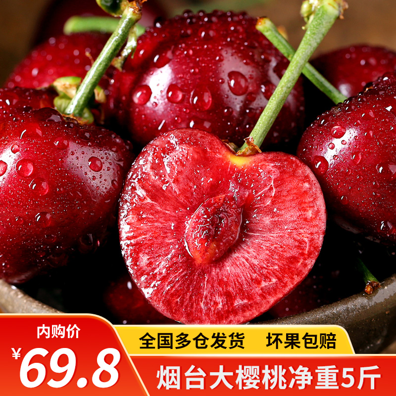 【预售/JD空运】山东烟台 大樱桃中果 5斤