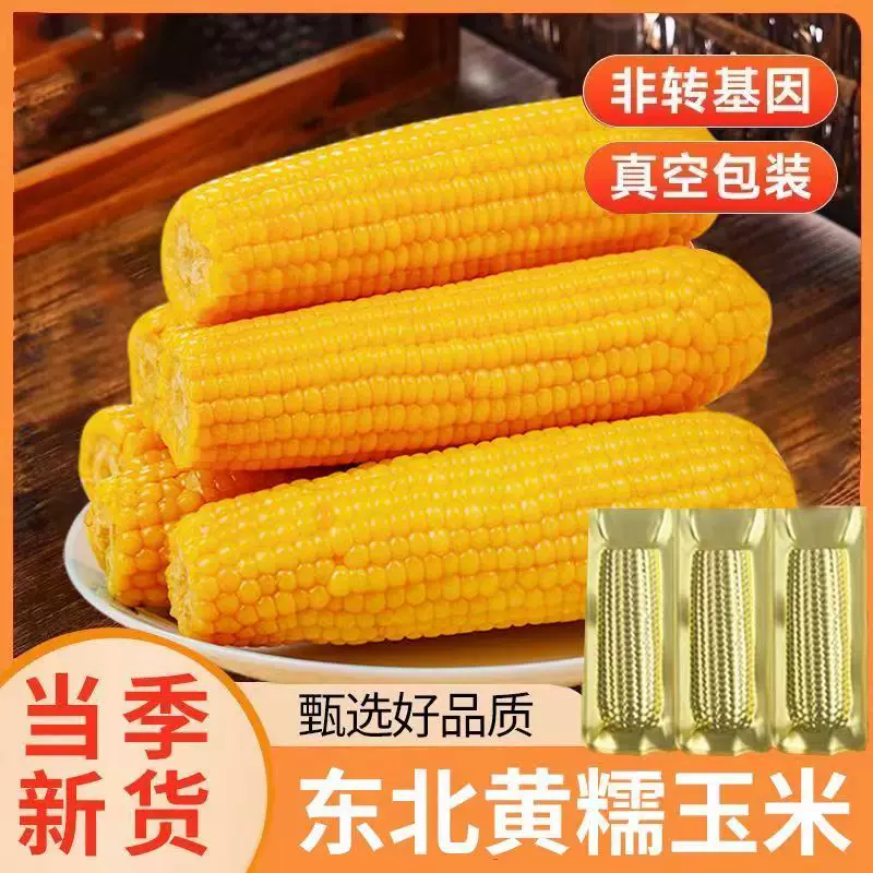 刘老杆东北黄糯玉米新鲜软糯粘苞玉米现摘真空早餐代餐饱腹玉米棒