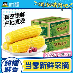 啃糯黄糯玉米东北甜玉米新鲜有机玉米真空黏玉米棒粗粮官方旗舰店