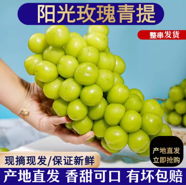 49.9元包邮！晴王 阳光玫瑰3斤大果礼盒装水果青提子
