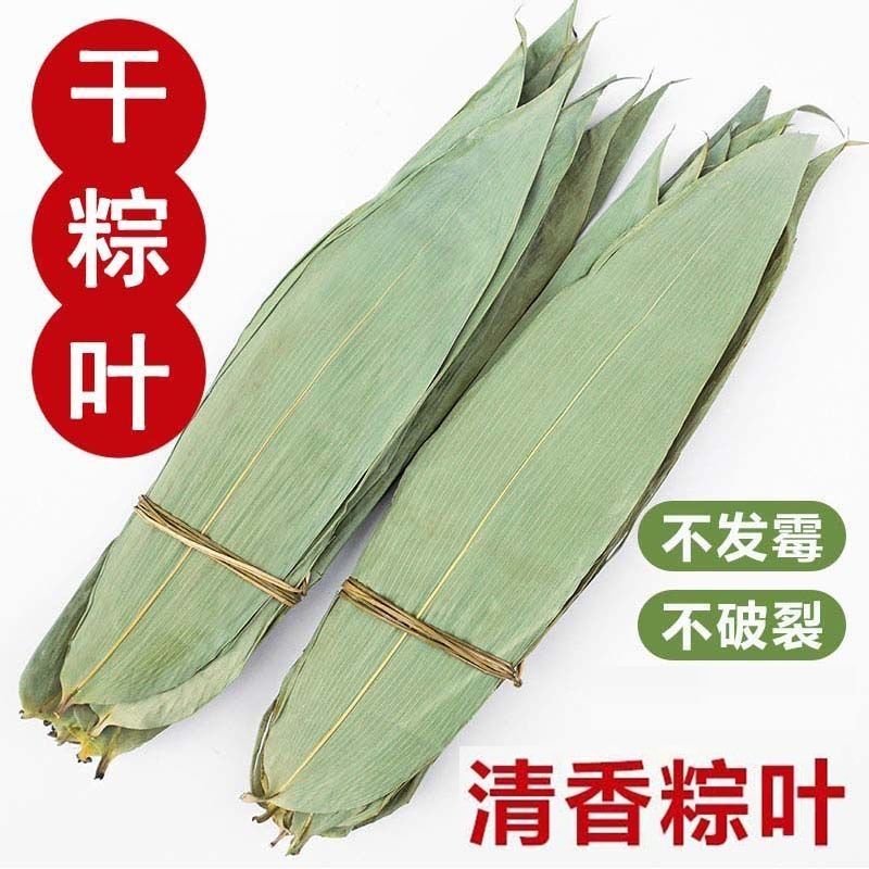 粽叶干粽叶新鲜野生大粽叶子包粽子叶大号