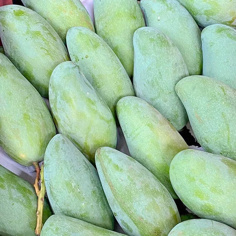 礼金+金币到手14！越南进口新鲜芒果4.5斤