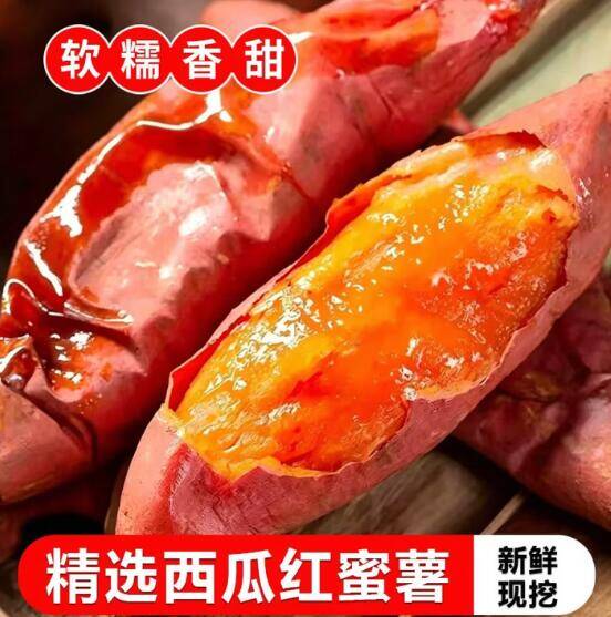 莎凰现挖沙地西瓜红蜜薯，折后仅需9.5元/斤