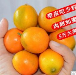 3.7元！水果蔬菜 广西融安金桔 1斤（需买5件 付18.5元包邮）