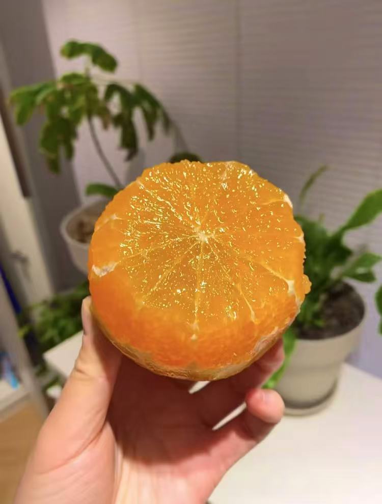 0_4