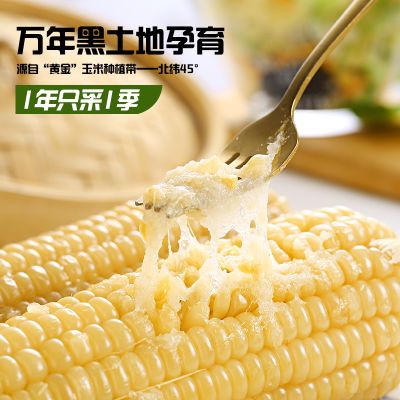 PDD热销产品汇总20点档更新2025/04/09