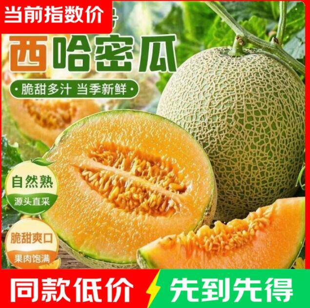 果园现摘直发海南新疆哈密瓜5-6斤，领券到手价仅7.9元