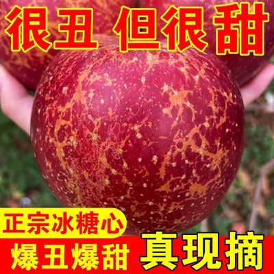 PDD热销产品汇总14点档更新2025/01/11