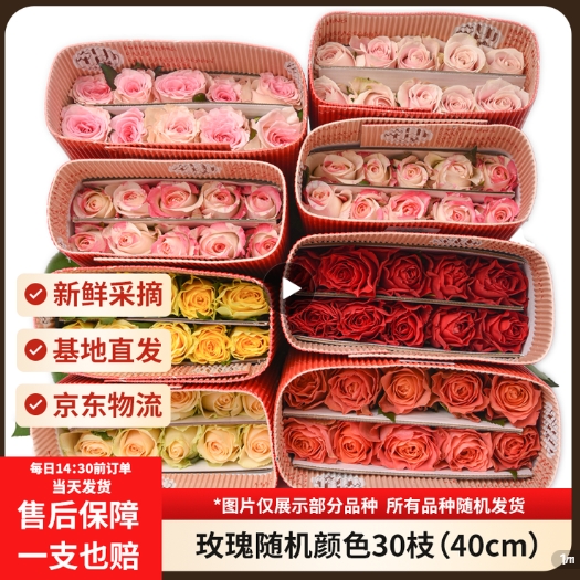 京东鲜花玫瑰盲盒30枝，券后仅需18.9元