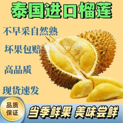 PDD热销产品汇总20点档更新2025/12/16