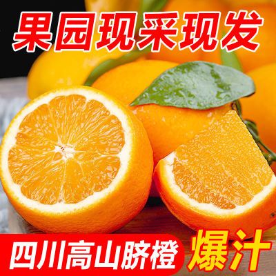 PDD热销产品汇总02点档更新2023/12/20