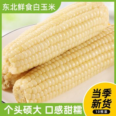 PDD热销产品汇总20点档更新2023/11/10