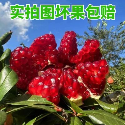PDD热销产品汇总02点档更新2024/08/18