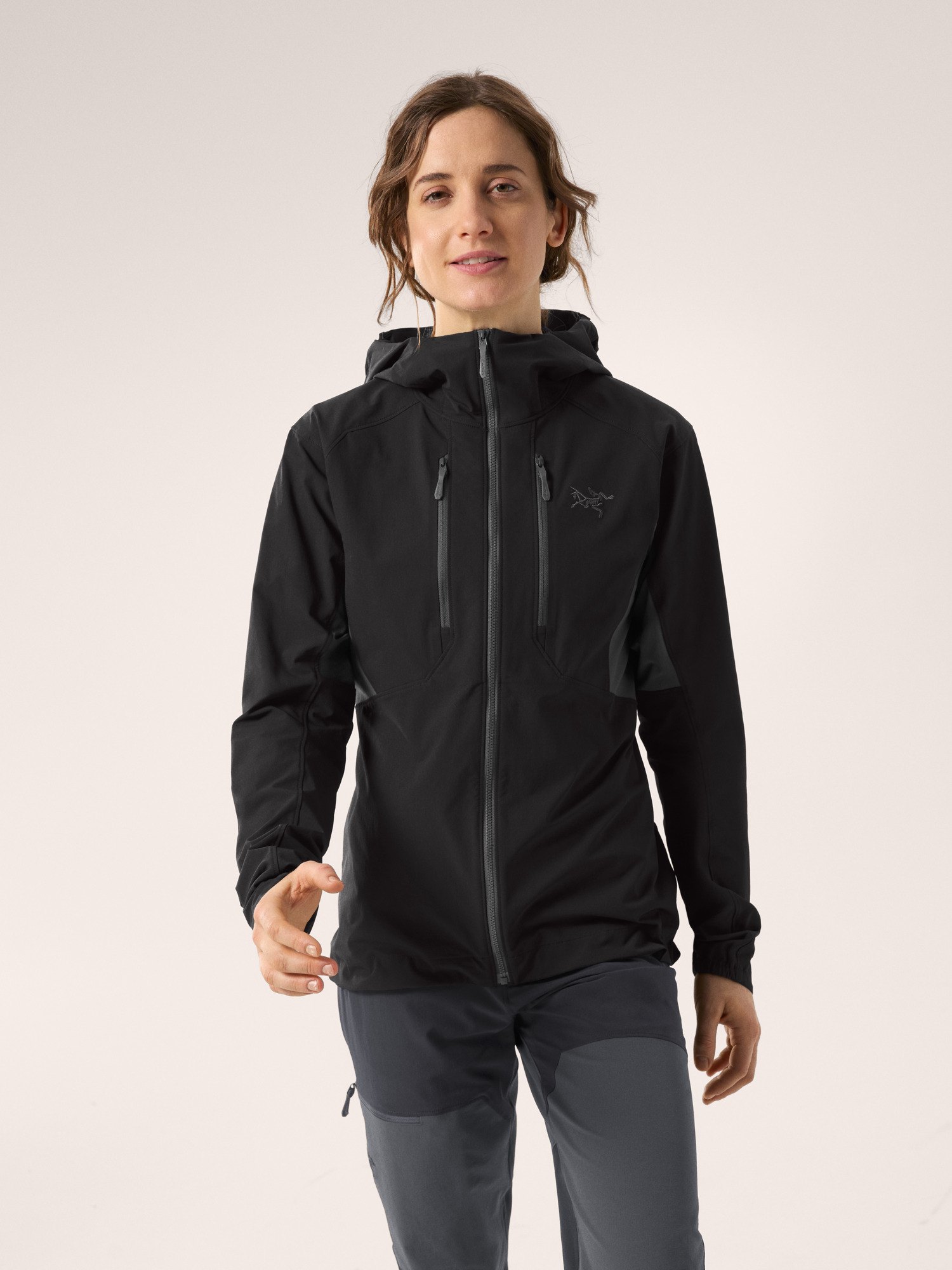 Arcteryx Psiphon Hoody Women's