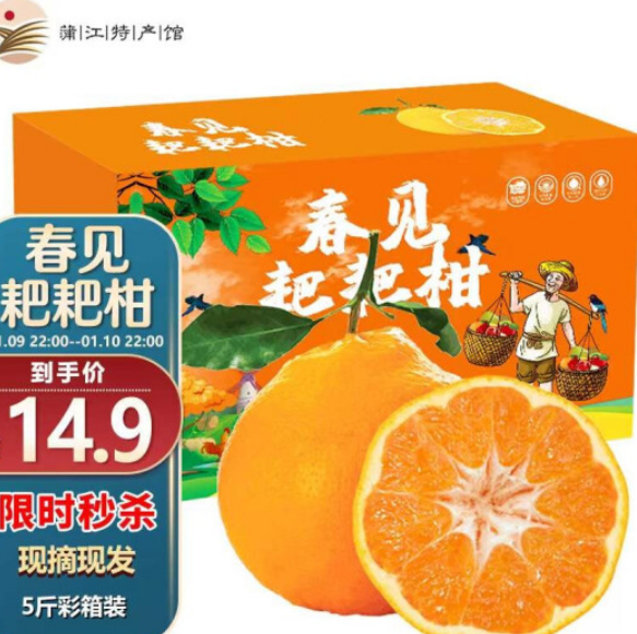 12.5元包邮！鲜菓篮 春见耙耙柑 精选果 5斤彩箱装