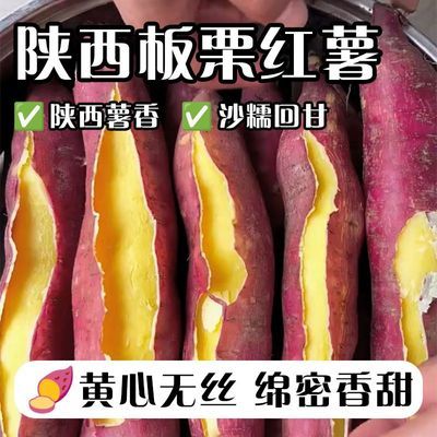 PDD热销产品汇总20点档更新2026/10/07