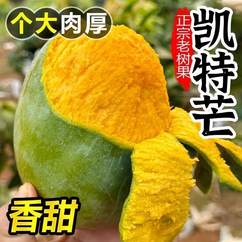 攀枝花凯特芒果4.5斤