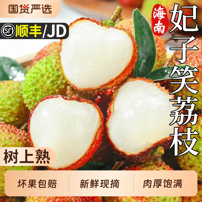 顺丰海南妃子笑荔枝4.5斤