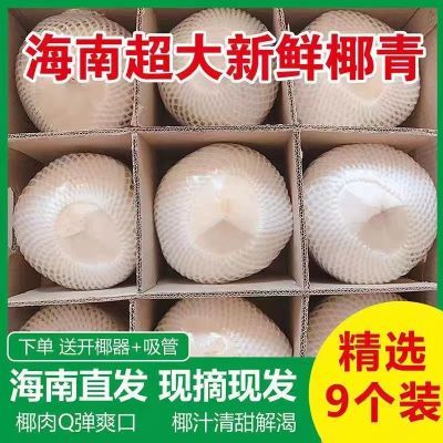 PDD热销产品汇总14点档更新2025/03/17