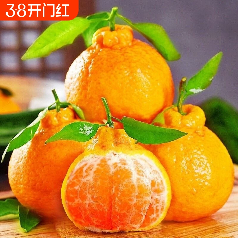 【单果75+】正宗四川不知火丑橘净重4.5斤