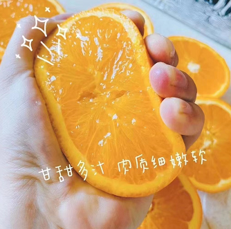 9.9元包邮！屈乡秭归脐橙 5斤精选中果