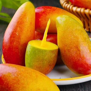 海南贵妃芒4.5斤装新鲜芒果包邮现摘现发当季热带水果皮薄核小