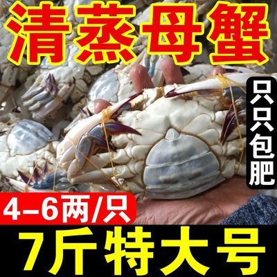 PDD热销产品汇总20点档更新2024/07/15