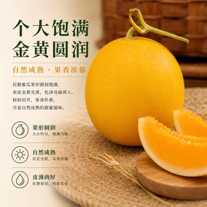 甘肃民勤蜜瓜沙漠蜜瓜甜瓜金红宝黄河蜜瓜应季当季新鲜水果哈密瓜
