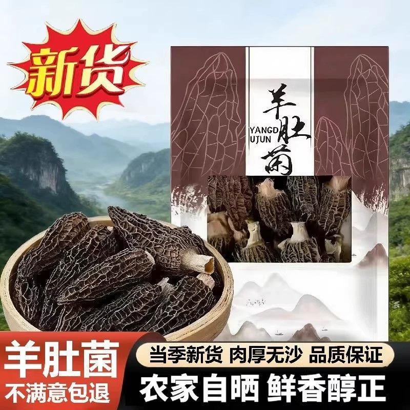 【果官宣】精品羊肚菌干货头茬新鲜煲汤滋补食材炖汤无干燥剂