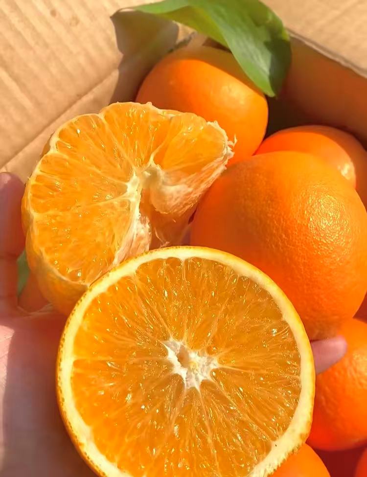 0_3