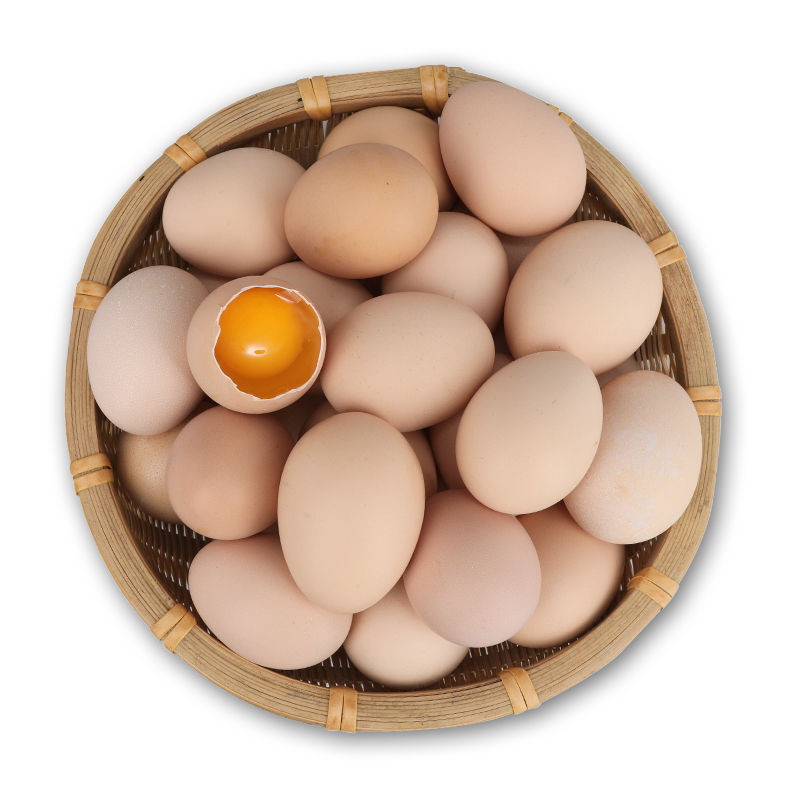【可签到】正宗虫草土鸡蛋10枚