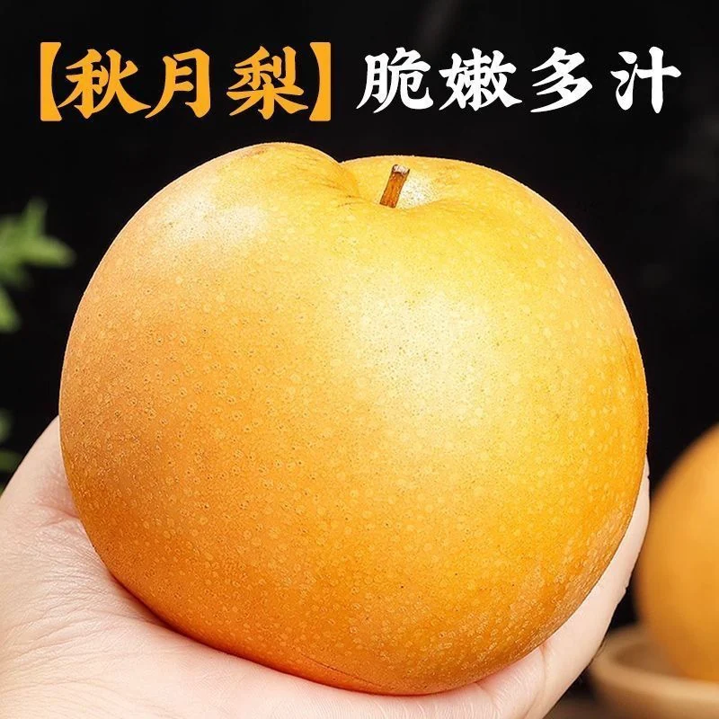 秋月梨4.5斤