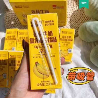 14.9元包邮！鸿博 香蕉牛奶整箱早餐饮品250ml*10盒