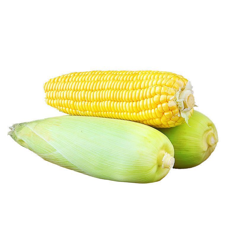 东北非转基因开袋即食鲜甜玉米1.2kg