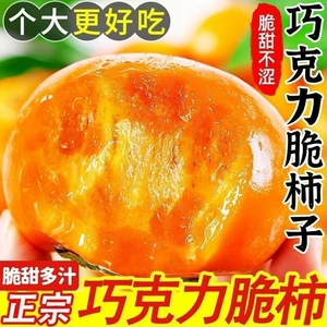 正宗阳丰脆柿子大果新鲜应季水果巧克力脆甜柿子硬柿子当季水果