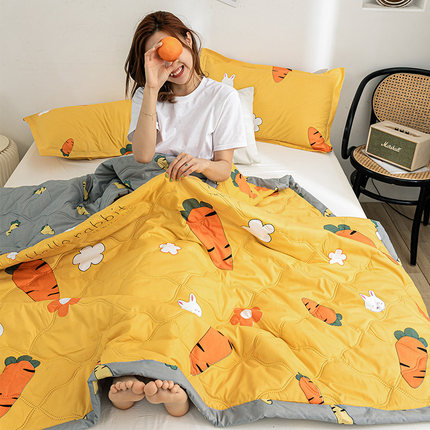 【全尺寸一个价】夏凉被空调被